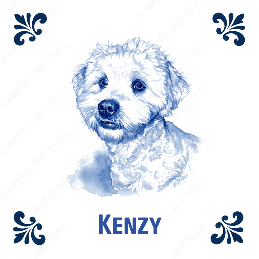 Tegelontwerp - Kenzy - 24-07-2026