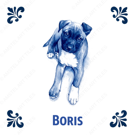 Tegelontwerp Boris