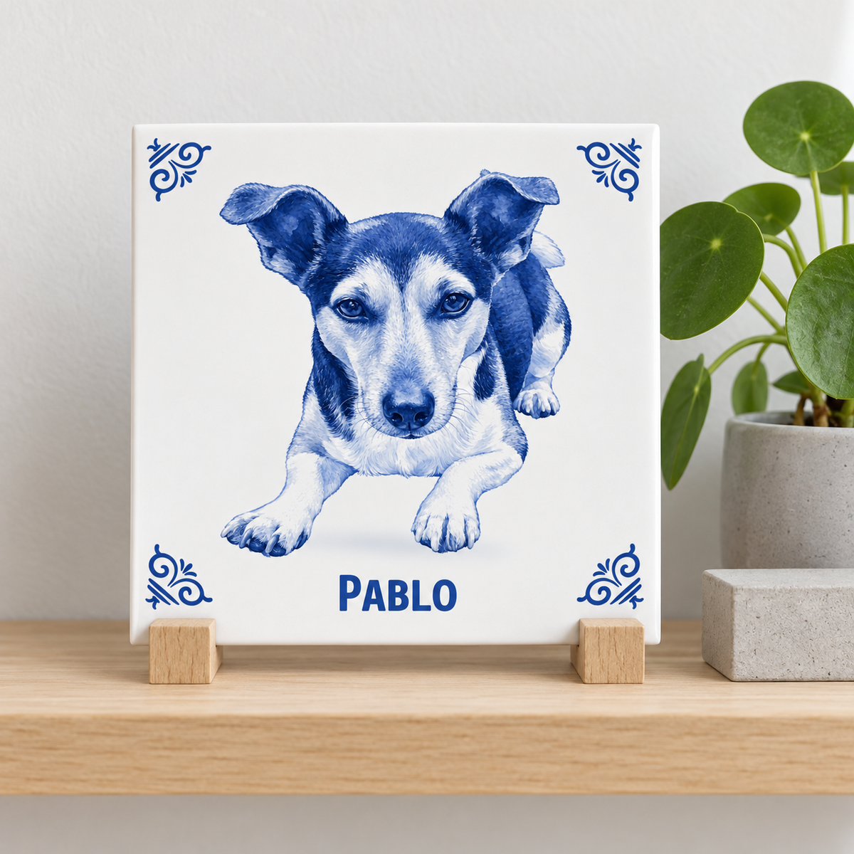 Tegelontwerp AT1918 – Pablo – lifestylefoto