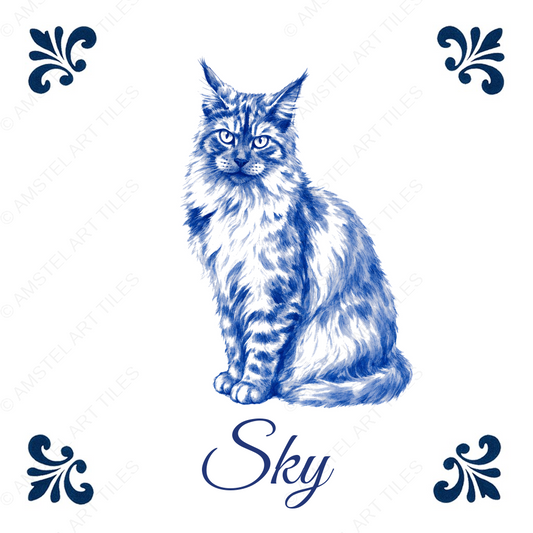 Tegelontwerp Sky