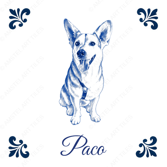 Tegelontwerp Paco