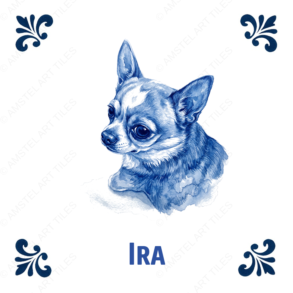 Tegelontwerp Ira