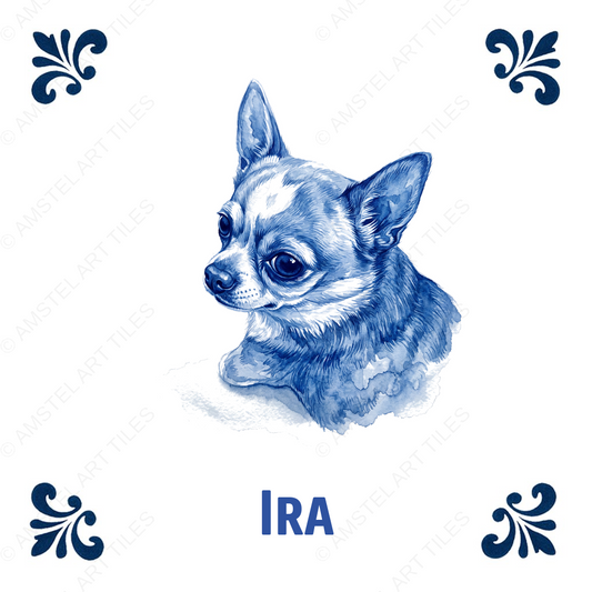 Tegelontwerp Ira