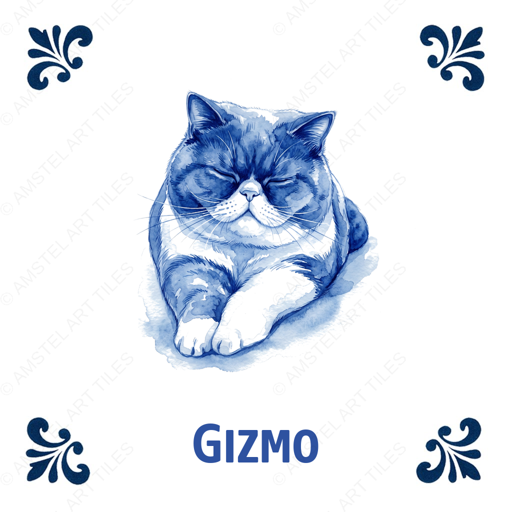 Tegelontwerp Gizmo