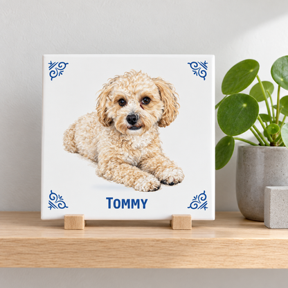AT1780 Tommy lifestyle nieuwe template kleur