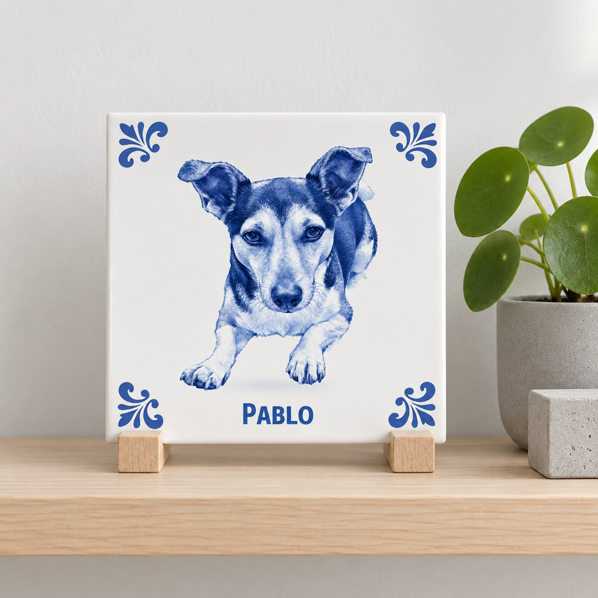 Tegelontwerp AT1916 – Pablo – lifestylefoto