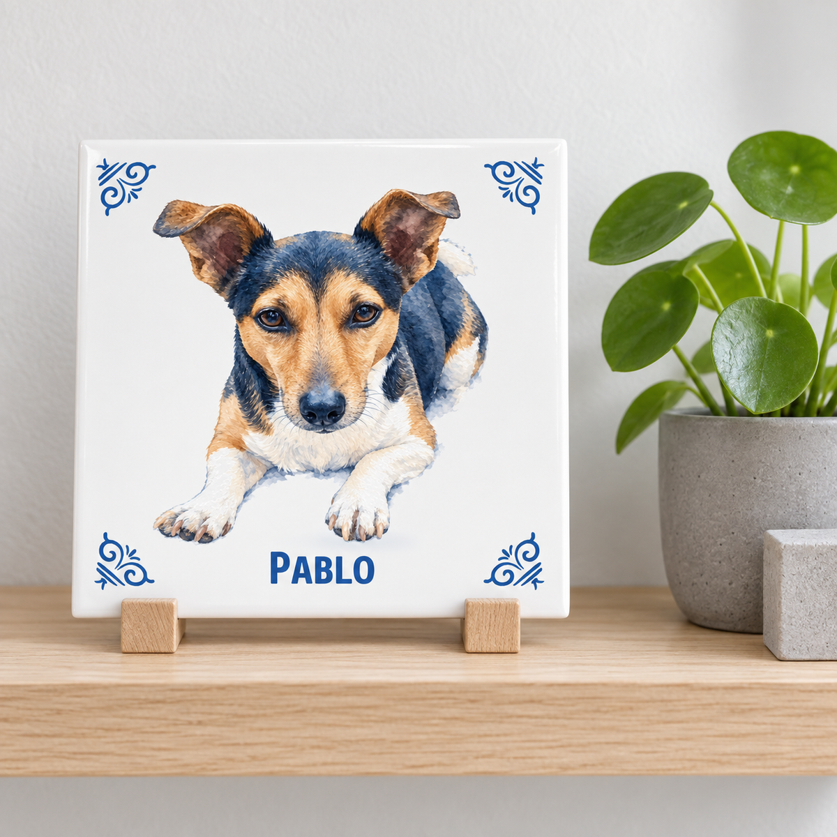 Tegelontwerp AT1917 – Pablo – lifestylefoto