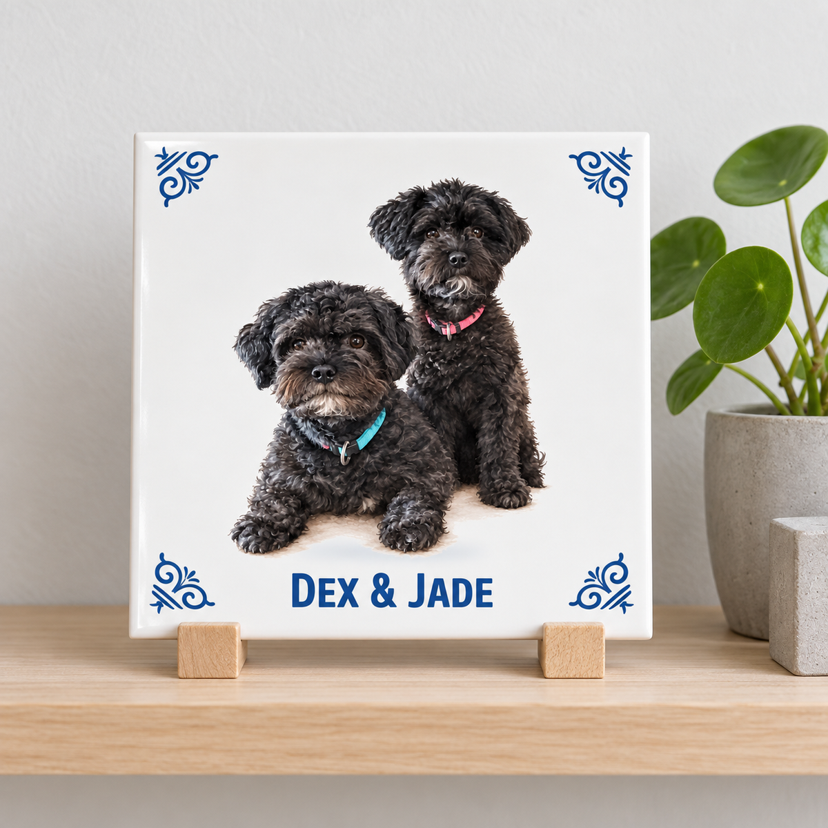 AT1923 Dex & Jade lifestyle productfoto