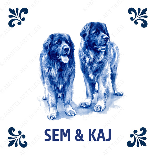 Tegelontwerp – Sem & Kaj – 21-07-2026