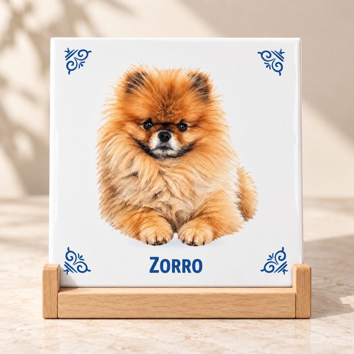 Lifestyle Zorro AT1584