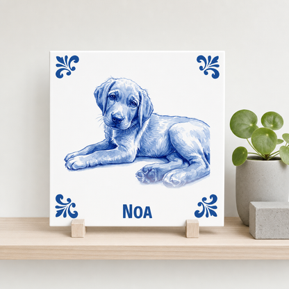 Tegelontwerp – Noa – 16-08-2026